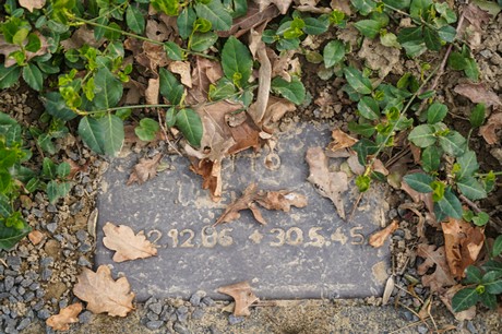 Bad Bodendorf